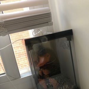 Harry Potter collectibles and two Fantastic Beasts